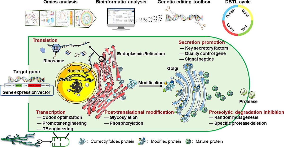 MixUp Recent publication in the Chinese Journal of Chemical Engineering