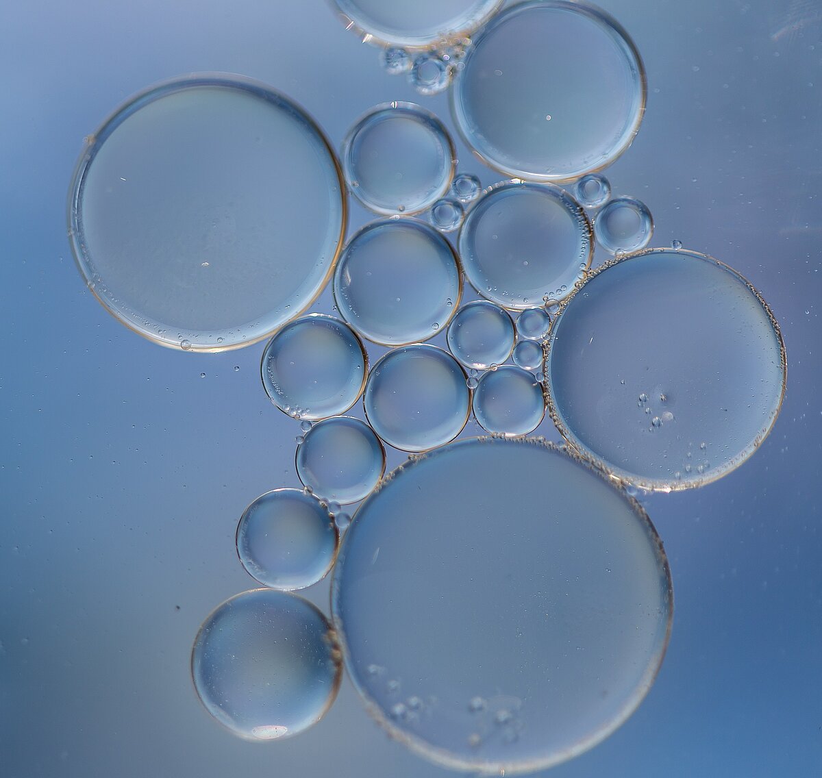 Mix-Up: The Great Bubble Barrier nominated as finalists for Earthshot Prize