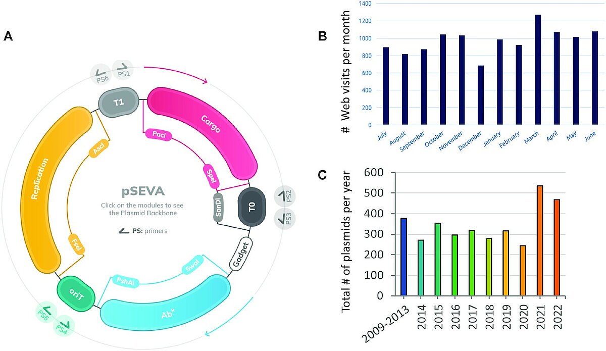 Mix-Up: SEVA 4.0: an update of the Standard European Vector ...