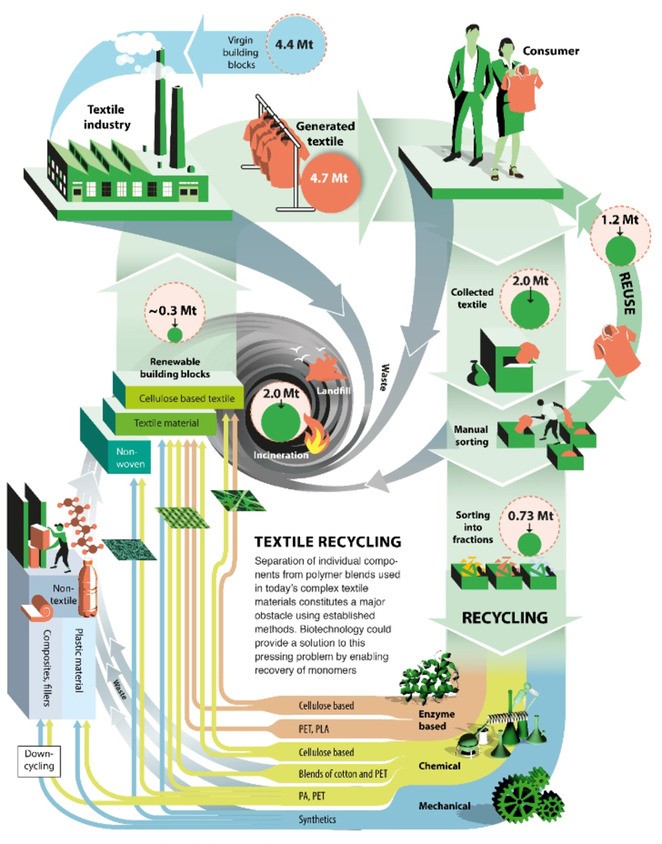 Mix-Up: Biocatalysis in the Recycling Landscape for Synthetic Polymers ...