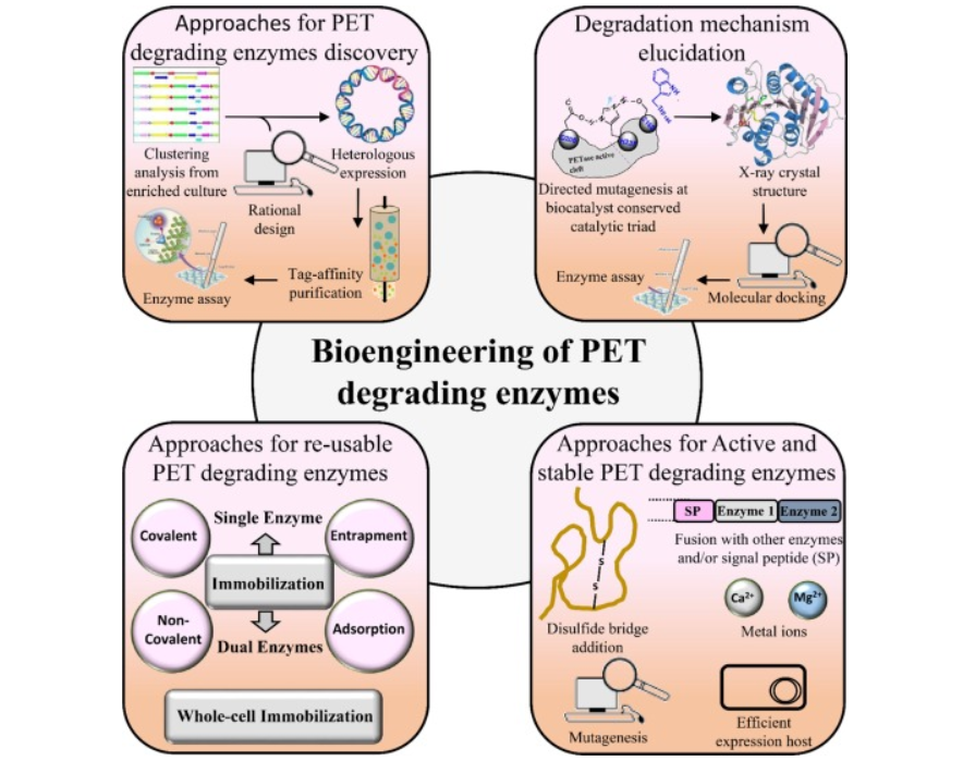 Mix-Up: Recent advances in biocatalysts engineering for polyethylene ...